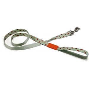 Afbeelding Hondenriem Melon 120cm x 25mm lichtgroen door Huisdierexpress.nl