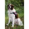 Julius-K9 IDC-Powertuig 71-96cm roze