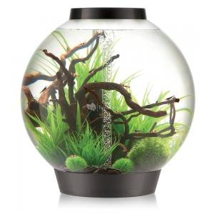 Afbeelding BiOrb Classic aquarium 105 liter MCR zwart door Huisdierexpress.nl