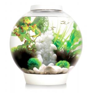 Afbeelding BiOrb Classic aquarium 15 liter LED wit door Huisdierexpress.nl