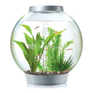 Afbeelding BiOrb Classic aquarium 15 liter LED zilver door Huisdierexpress.nl