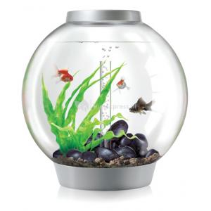 Afbeelding BiOrb Classic aquarium 30 liter LED Tropical zilver door Huisdierexpress.nl