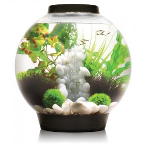 Afbeelding BiOrb Classic aquarium 30 liter LED zwart door Huisdierexpress.nl