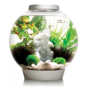 Afbeelding BiOrb Classic aquarium 60 liter LED Tropical zilver door Huisdierexpress.nl