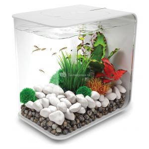 Afbeelding BiOrb Flow aquarium 15 liter LED wit door Huisdierexpress.nl