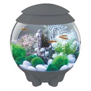 Afbeelding BiOrb Halo aquarium 15 liter MCR grijs door Huisdierexpress.nl