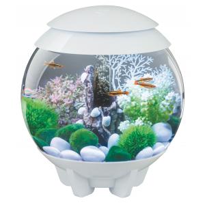 Afbeelding BiOrb Halo aquarium 15 liter MCR wit door Huisdierexpress.nl