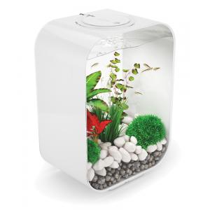 Afbeelding BiOrb Life aquarium 15 liter LED wit door Huisdierexpress.nl