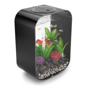 Afbeelding BiOrb Life aquarium 15 liter LED zwart door Huisdierexpress.nl