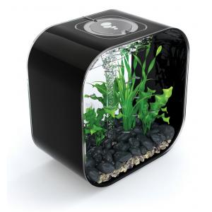 Afbeelding BiOrb Life aquarium 30 liter MCR zwart door Huisdierexpress.nl