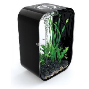 Afbeelding BiOrb Life aquarium 45 liter MCR zwart door Huisdierexpress.nl