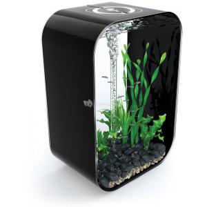 Afbeelding Biorb Life aquarium 60 liter MCR zwart door Huisdierexpress.nl