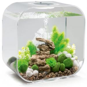 Afbeelding BiOrb Life aquarium 30 liter MCR transparant door Huisdierexpress.nl