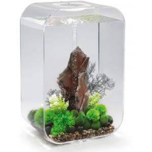 Afbeelding Biorb Life aquarium 60 liter MCR transparant door Huisdierexpress.nl