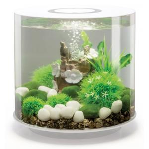 Afbeelding BiOrb Tube aquarium 15 liter LED wit door Huisdierexpress.nl