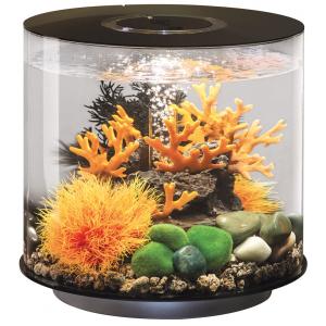 Afbeelding BiOrb Tube aquarium 15 liter LED zwart door Huisdierexpress.nl