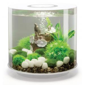 Afbeelding BiOrb Tube aquarium 15 liter MCR wit door Huisdierexpress.nl