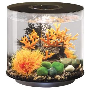 Afbeelding BiOrb Tube aquarium 15 liter MCR zwart door Huisdierexpress.nl