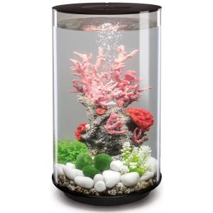 Afbeelding BiOrb Tube aquarium 30 liter LED zwart door Huisdierexpress.nl