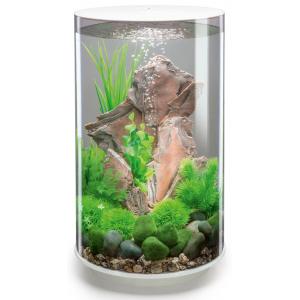 Afbeelding BiOrb Tube aquarium 30 liter MCR wit door Huisdierexpress.nl