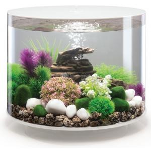 Afbeelding BiOrb Tube aquarium 35 liter LED wit door Huisdierexpress.nl