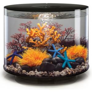 Afbeelding BiOrb Tube aquarium 35 liter LED zwart door Huisdierexpress.nl