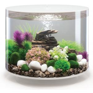 Afbeelding BiOrb Tube aquarium 35 liter MCR wit door Huisdierexpress.nl