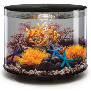 Afbeelding BiOrb Tube aquarium 35 liter MCR zwart door Huisdierexpress.nl