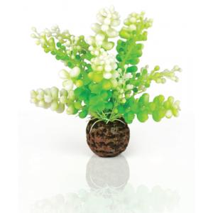 Afbeelding BiOrb Caulerpa groen aquarium decoratie door Huisdierexpress.nl