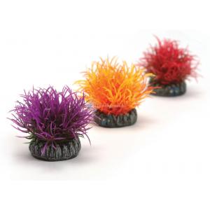 Afbeelding BiOrb decobal set 3 gekleurd aquarium decoratie door Huisdierexpress.nl