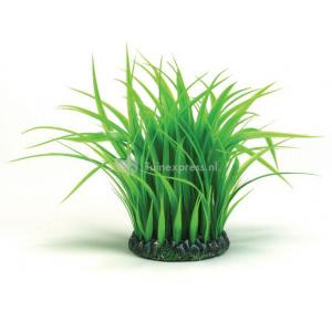 Afbeelding BiOrb grasring medium groen aquarium decoratie door Huisdierexpress.nl