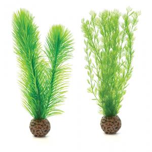 BiOrb mannetjesvaren klein groen aquarium decoratie afbeelding