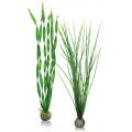 BiOrb planten groot groen aquarium decoratie