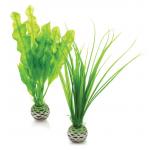 BiOrb planten klein groen aquarium decoratie