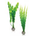 BiOrb planten medium groen aquarium decoratie