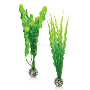 Afbeelding BiOrb planten medium groen aquarium decoratie door Huisdierexpress.nl