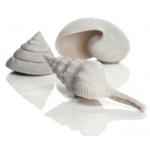 BiOrb schelp set 3 wit aquarium decoratie afbeelding