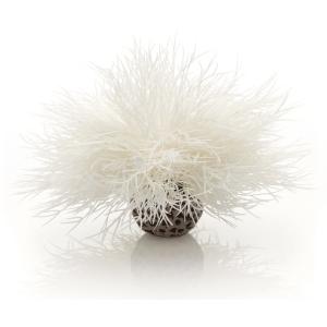 BiOrb zeelelie wit aquarium decoratie afbeelding